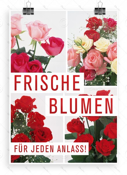 Frische Blumen fuer jeden Anlass! Werbeplakat by Despri, DIN A1, P0089